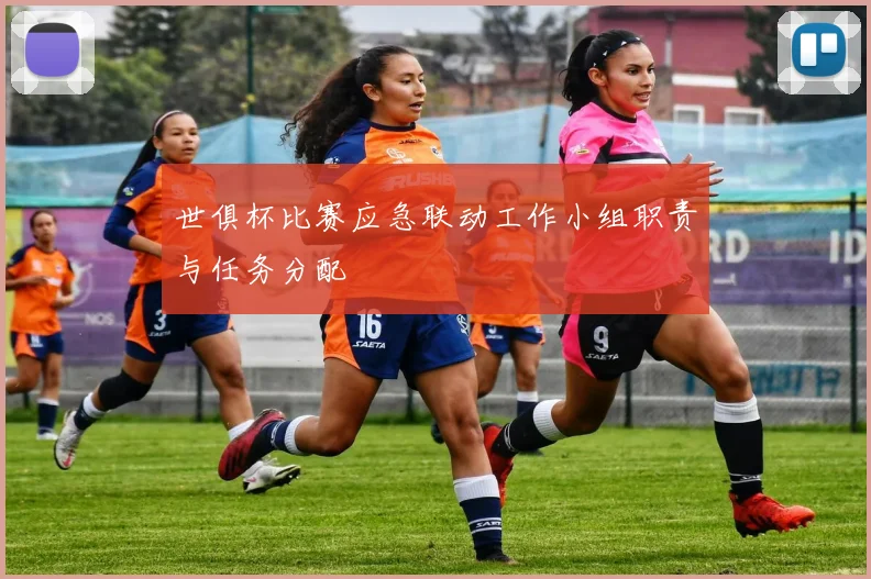 世俱杯比赛应急联动工作小组职责与任务分配