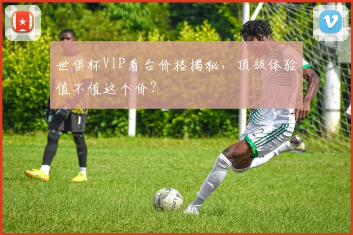 世俱杯VIP看台价格揭秘，顶级体验值不值这个价？