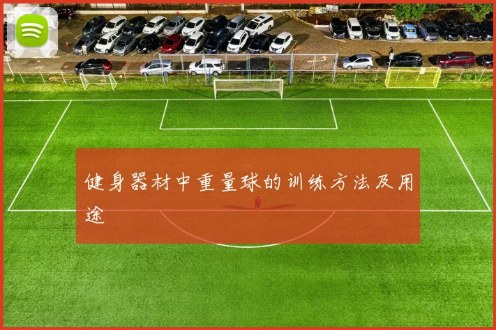 健身器材中重量球的训练方法及用途