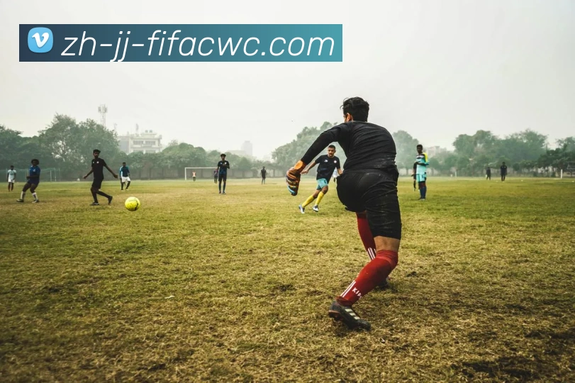 世界杯在线观看品牌故事