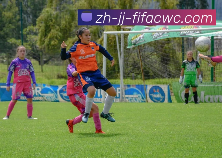 世界杯在线观看服务体系