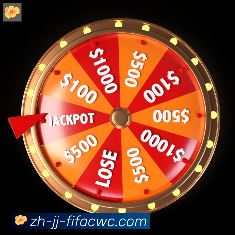 未来规划
