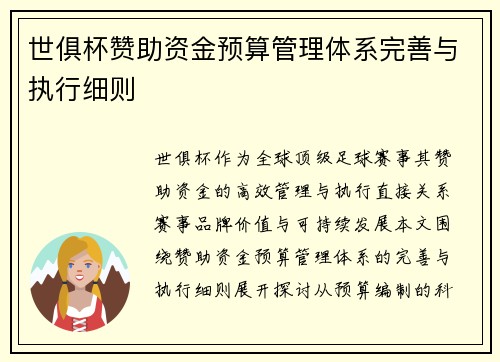世俱杯赞助资金预算管理体系完善与执行细则